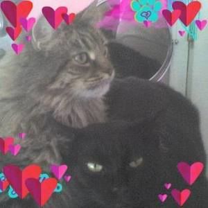 Meet your Posher, Leisha